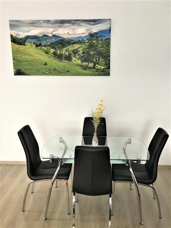 Mountain View Escape Apartment Brasov Exterior photo
